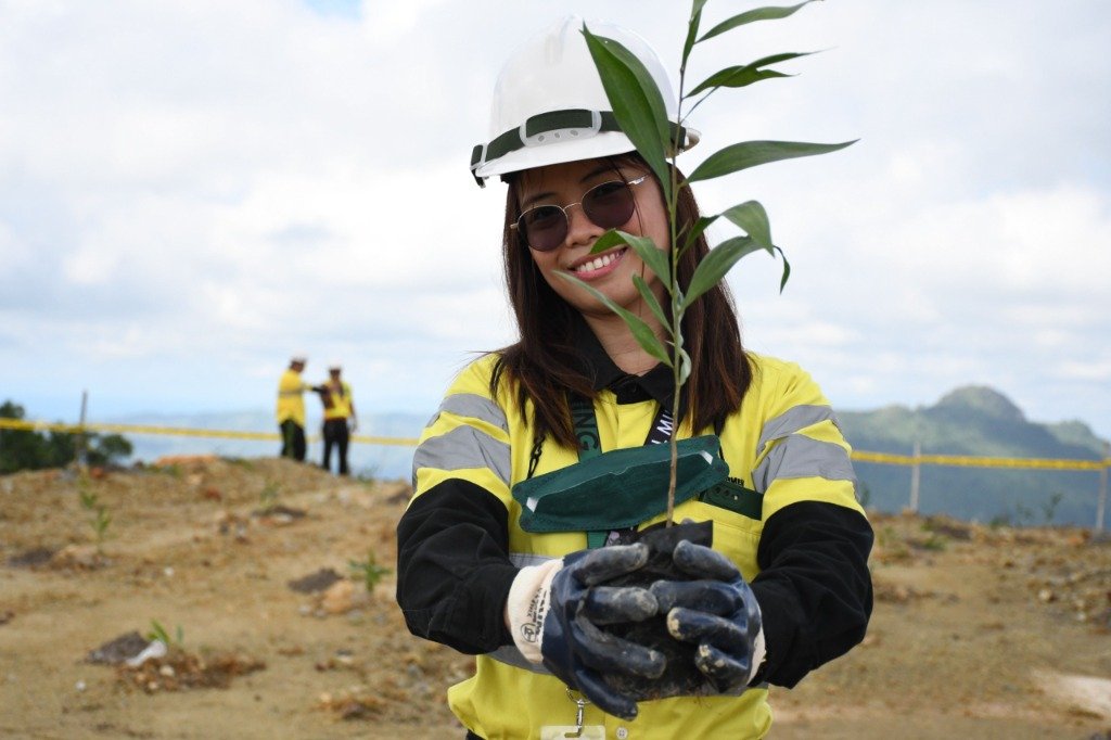 Tree Plantation